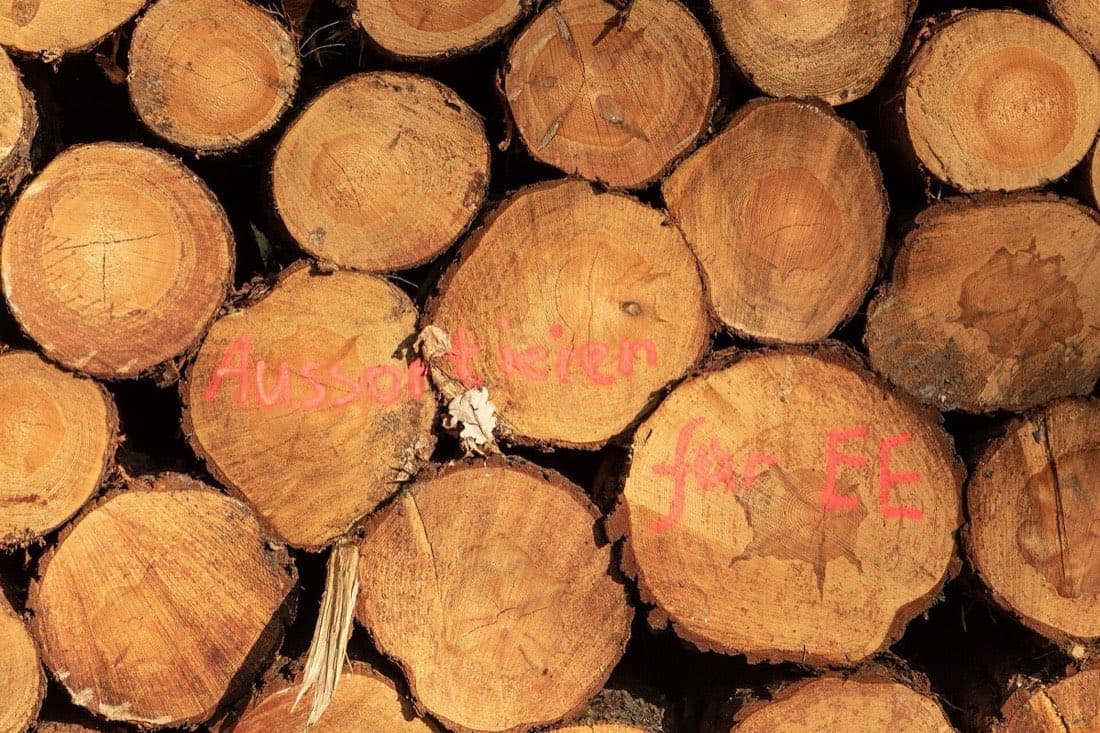 Grumes de bois empilées