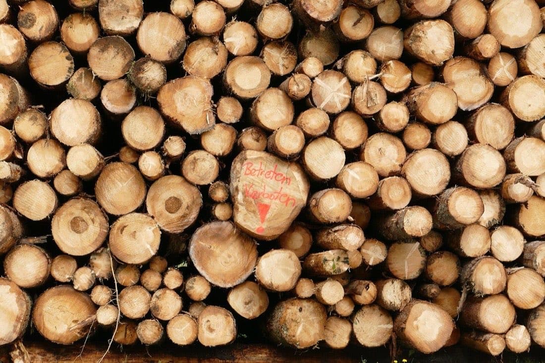 Grumes de bois empilées